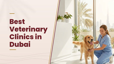 Best Veterinary Clinics in Dubai