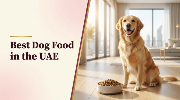 Best dog food in the UAE β The Pets Club