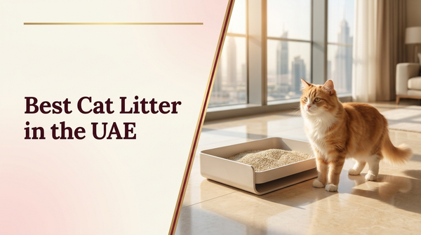 Best cat litter in the UAE — The Pets Club
