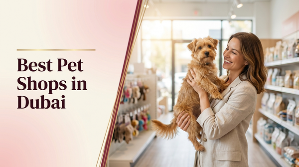 Best pet shops in Dubai — The Pets Club