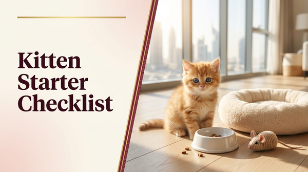 Kitten starter checklist for the UAE — The Pets Club