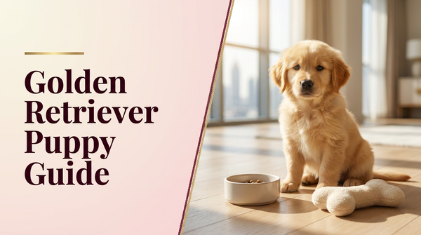 Golden Retriever puppy guide for the UAE β The Pets Club