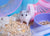 How To Care for Your Hamster - Everything You Need to Know! - The Pets Club