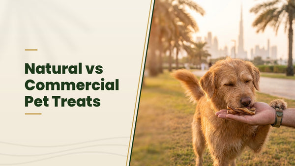 Natural vs Commercial Pet Treats - The Pets Club