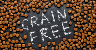 Organic Grain-Free Dog Food UAE: A Healthier Choice for Your Furry Friend