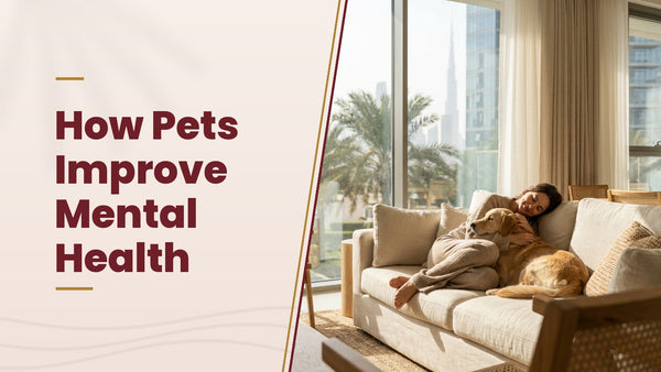 How Pets Improve Mental Health - The Pets Club