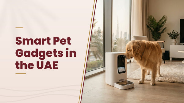 Smart Pet Gadgets in the UAE - The Pets Club