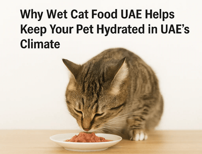 Why Wet Cat Food UAE Keeps Pets Hydrated in Heat
