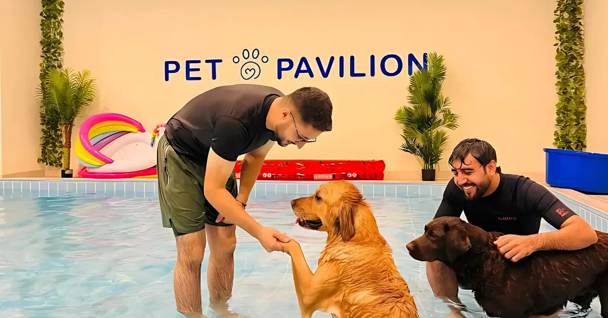 5. Pet Pavilion Veterinary Clinic
