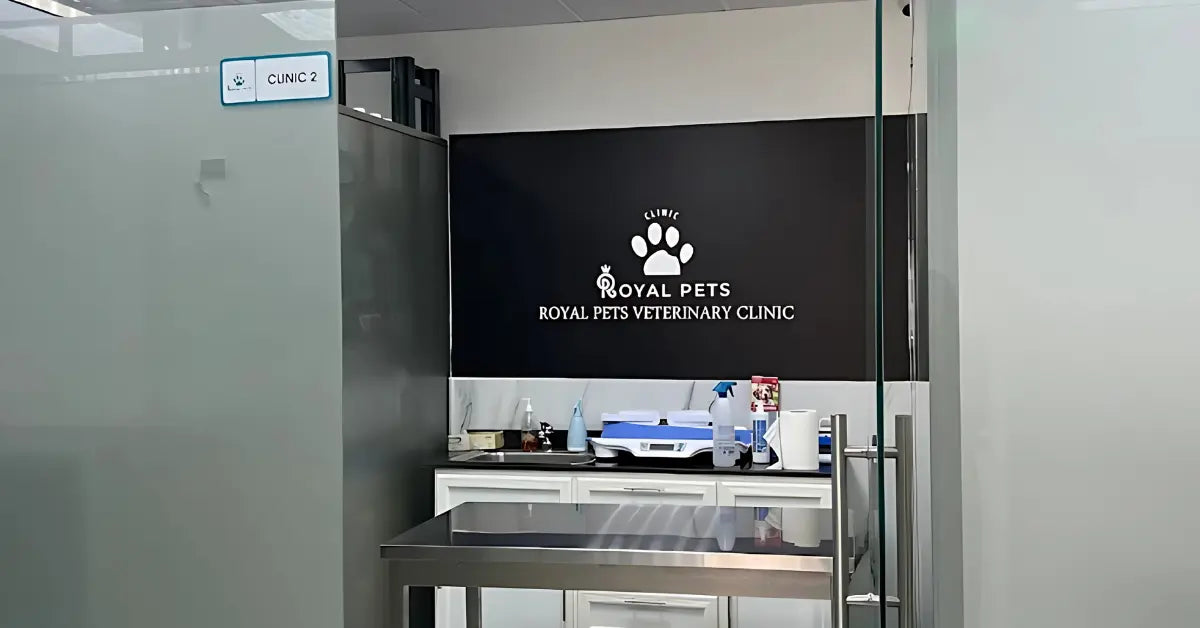 10. Royal Pets Veterinary Clinic