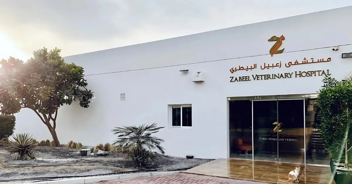 Petzone Veterinary Clinic