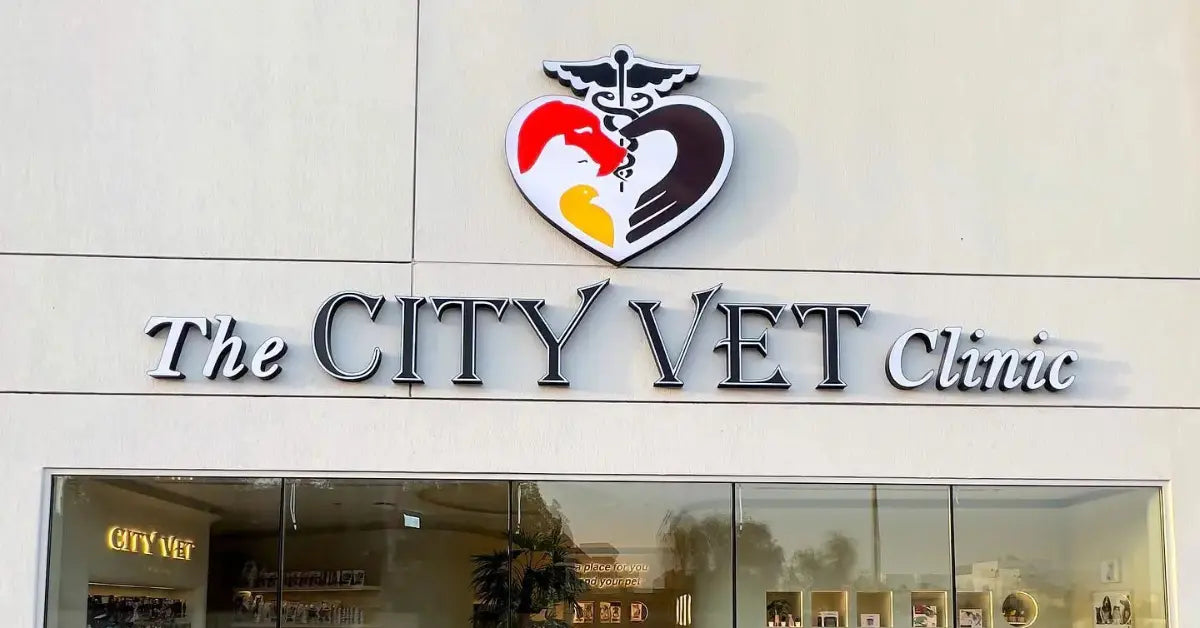 Al Barsha Veterinary Clinic