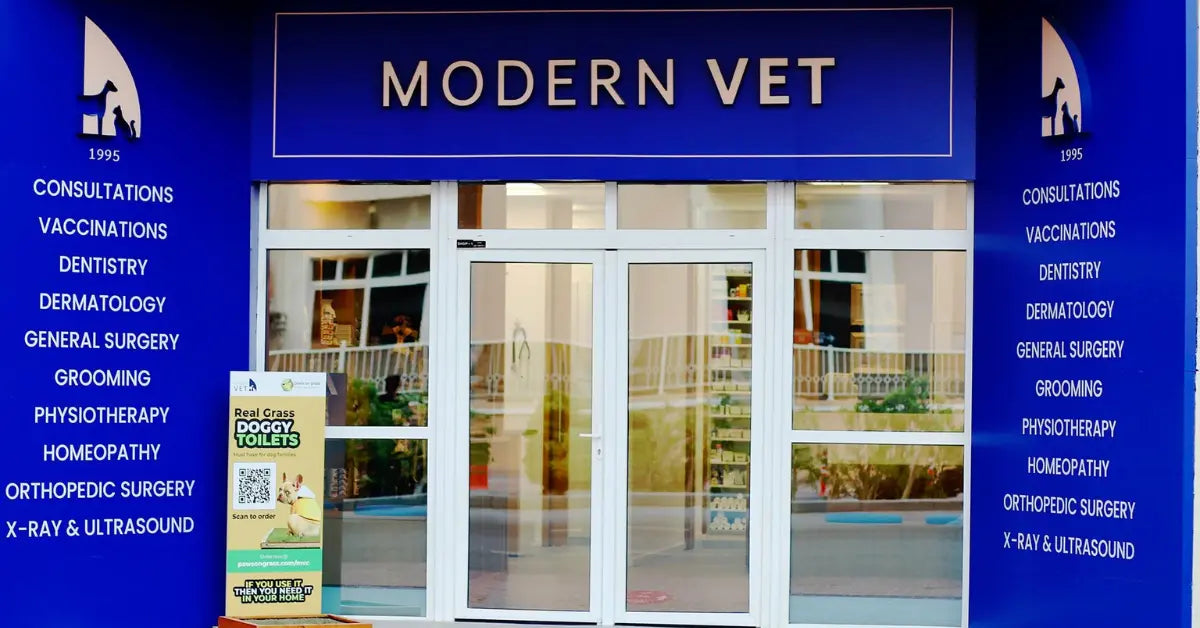 Modern Veterinary Clinic
