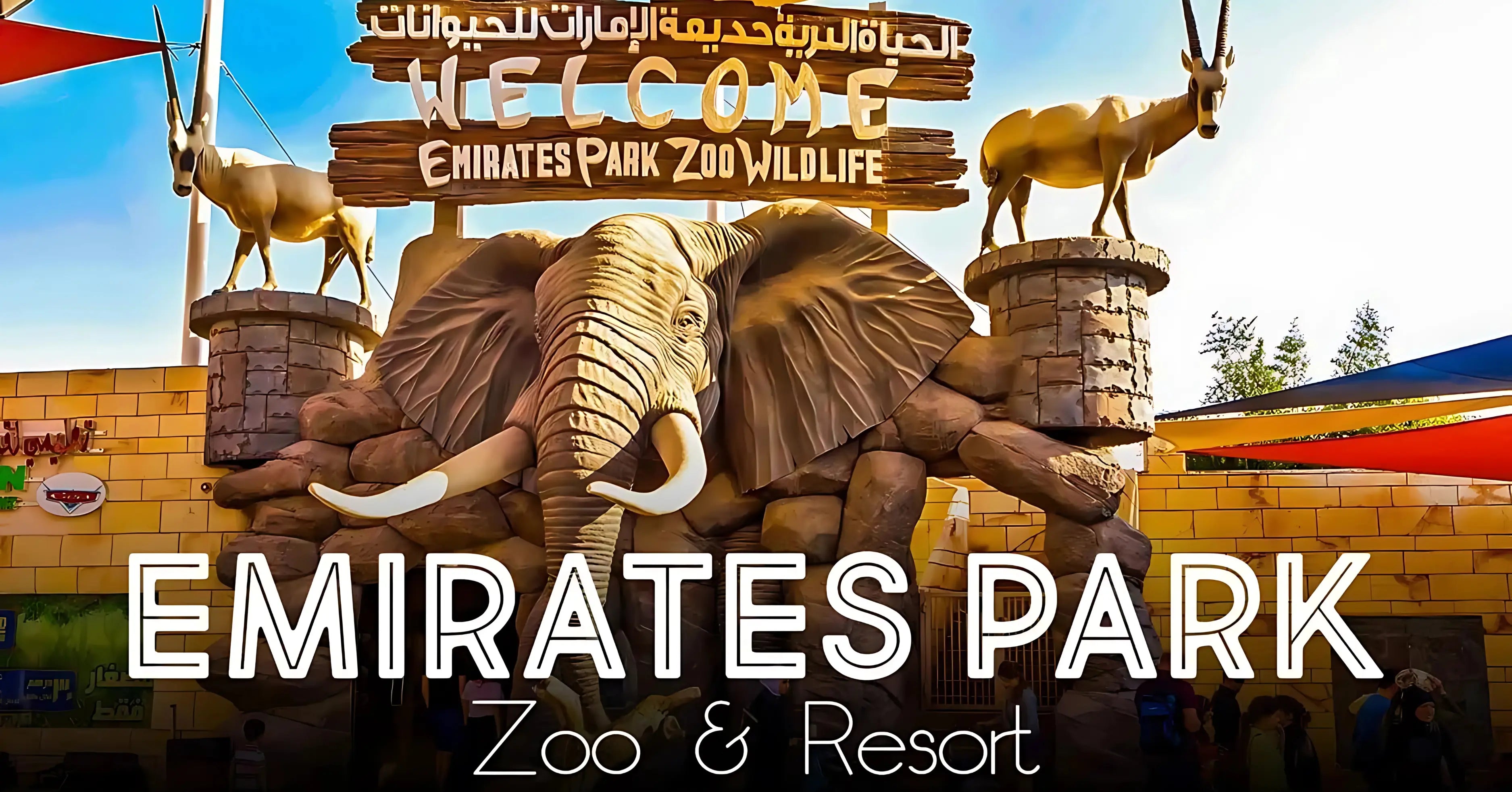 Zoo Image