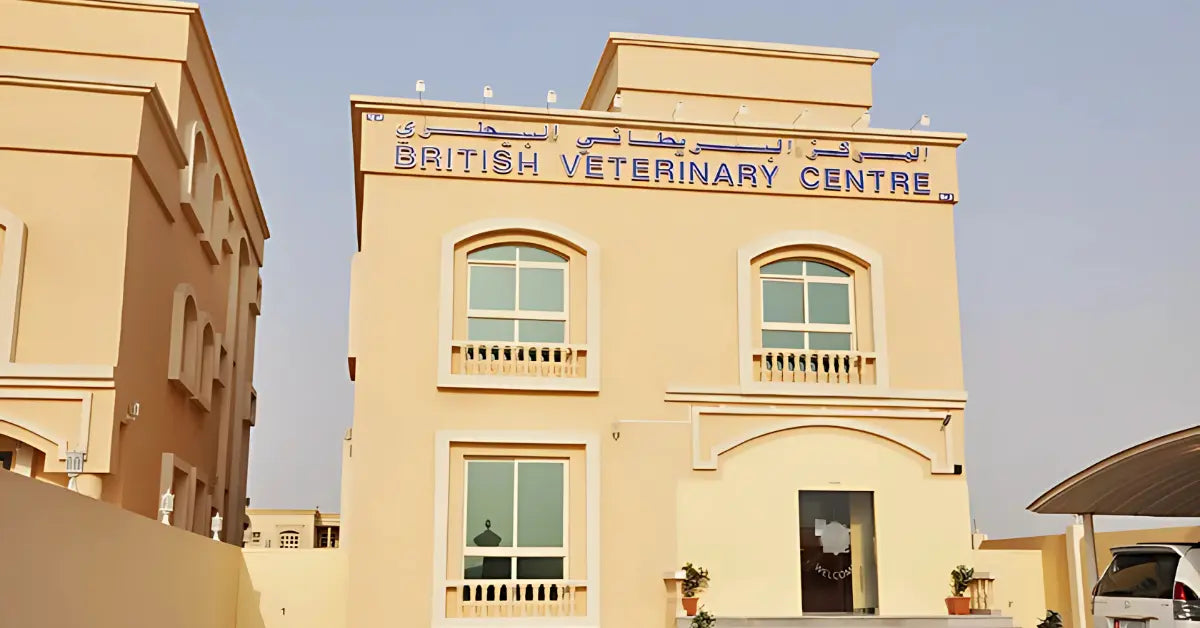2. British Veterinary Centre