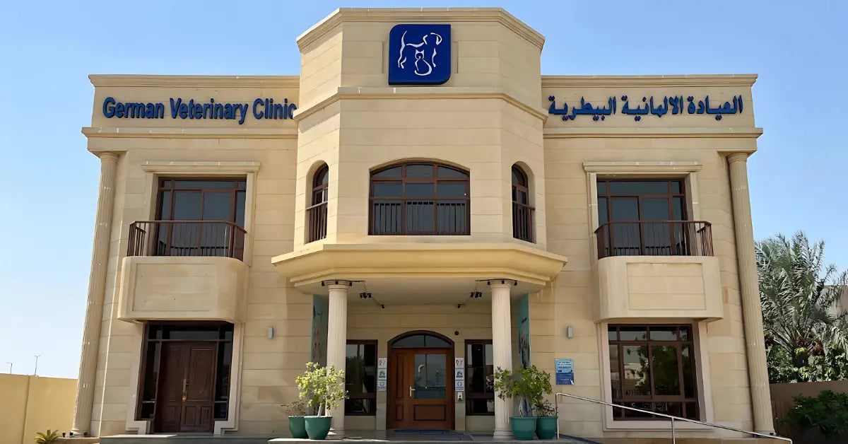 3. German Veterinary Clinic