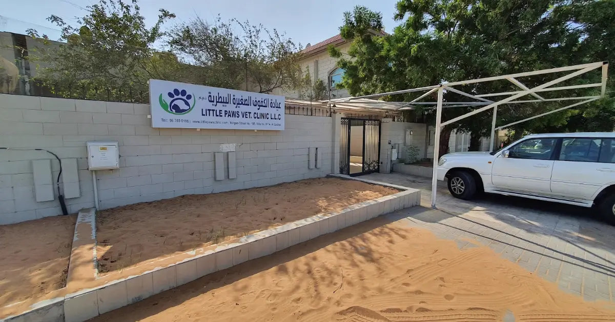 5. Little Paws Vet Clinic