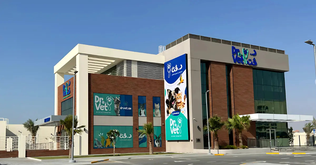 4. Dr.Vet Animal Hospital