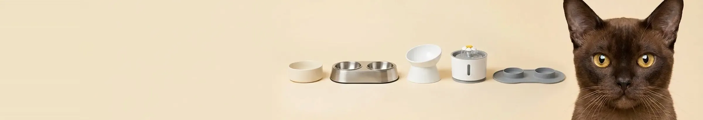 Bowls & Feeders — Dine in Style