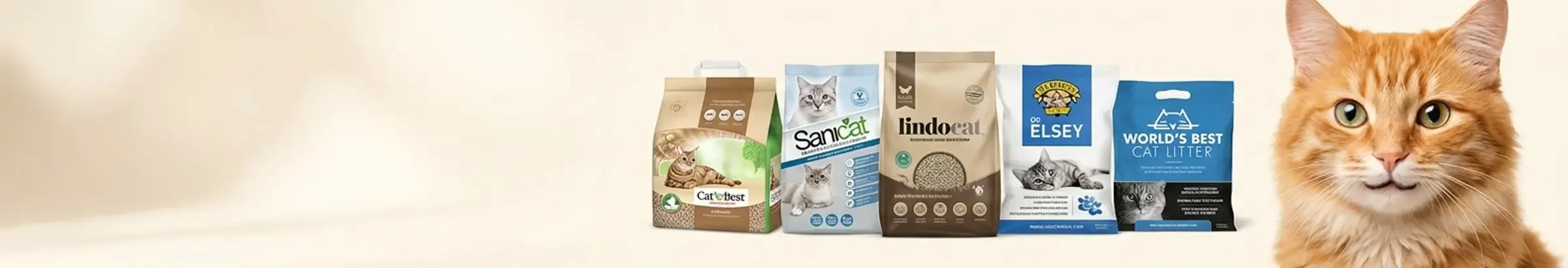 Fresh & Clean — Litter Sorted