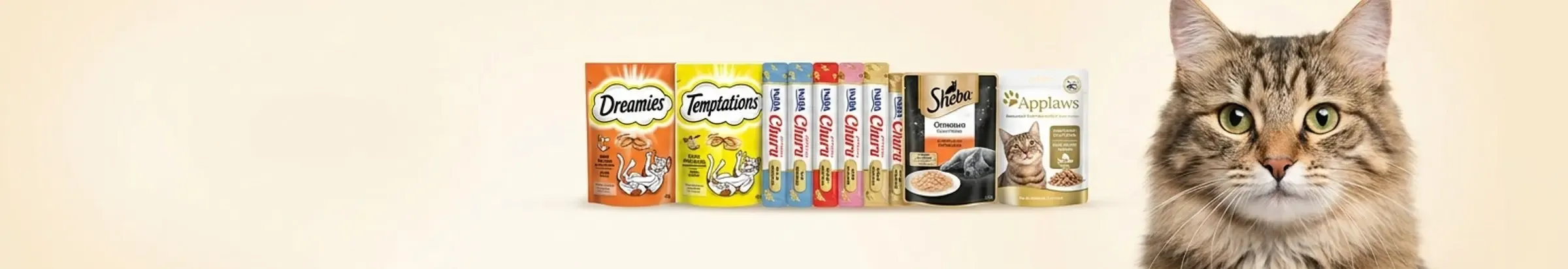Treats & Snacks — Tasty Treats