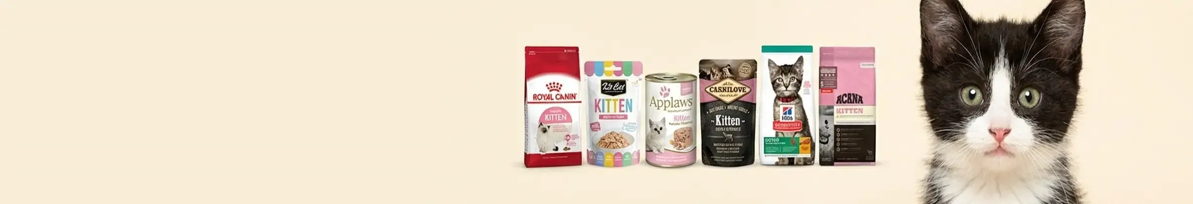 Kitten Nutrition — Little Growers