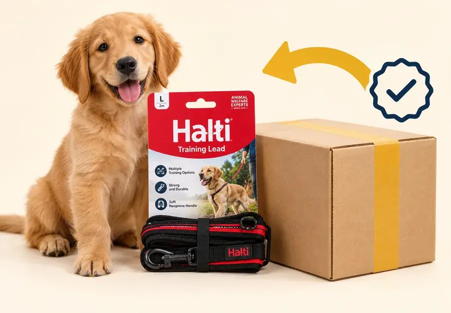 A dog beside a training lead and a parcel, with an arrow curving back to it and a tick