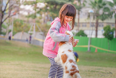 10 of The Best Pet-Friendly Parks in Dubai