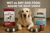 Wet vs Dry Dog Food