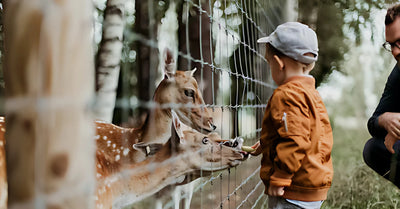 Discover the Best Zoos in UAE: Ultimate Wildlife Experiences