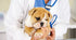 f_article.image.alt