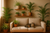 Top 10 Safe House Plants for Homes with Cats