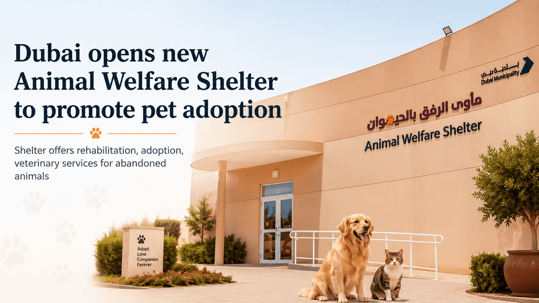 Dubai opens new Animal Welfare Shelter to promote pet adoption