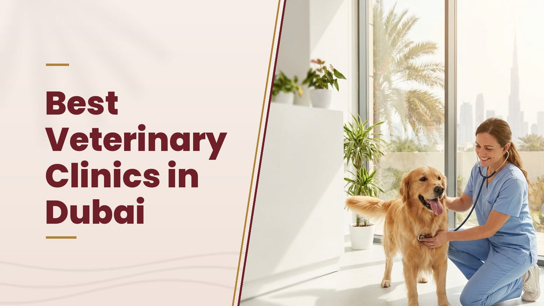 Best Veterinary Clinics in Dubai - The Pets Club