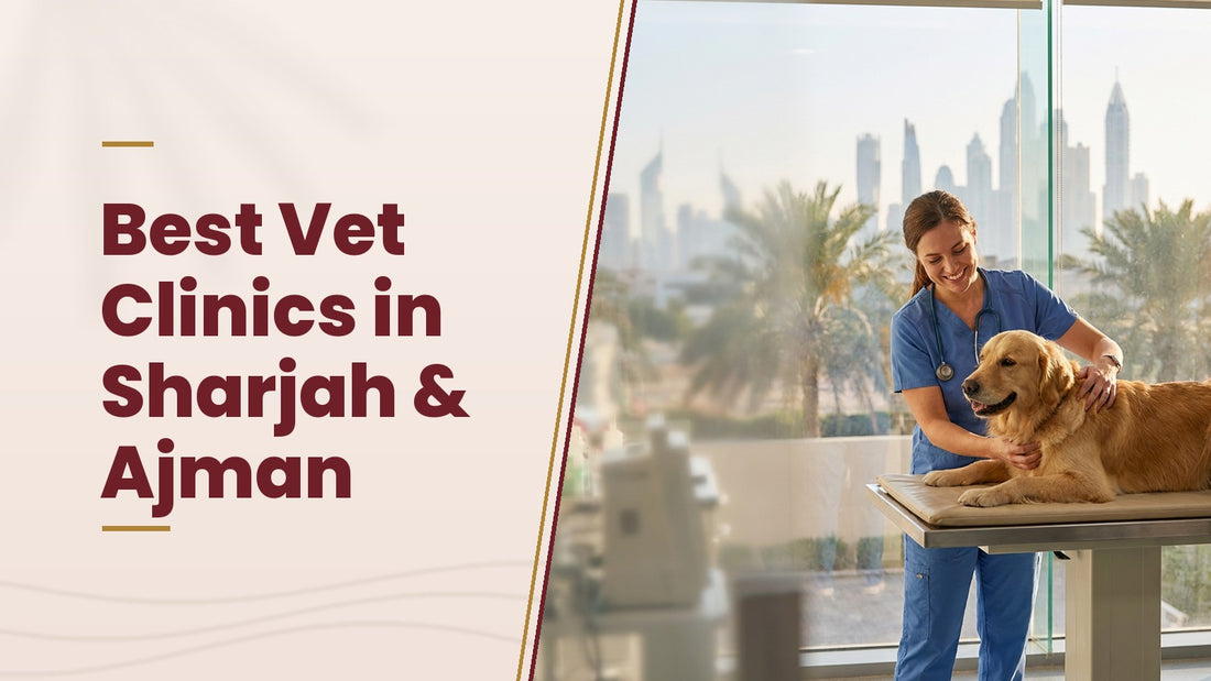 Best Vet Clinics in Sharjah and Ajman - The Pets Club