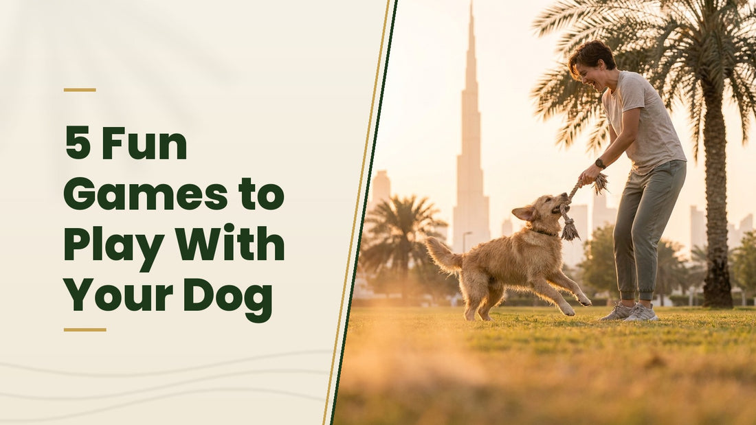 5 Fun Games to Play With Your Dog - The Pets Club