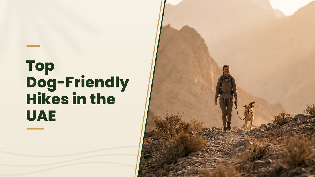 Top Dog-Friendly Hikes in the UAE - The Pets Club