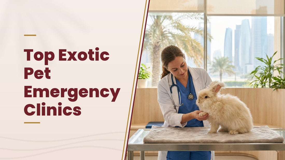 Top Exotic Pet Emergency Clinics - The Pets Club