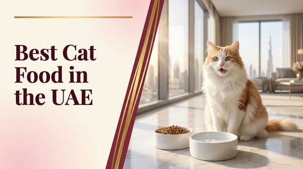 Best cat food in the UAE — The Pets Club