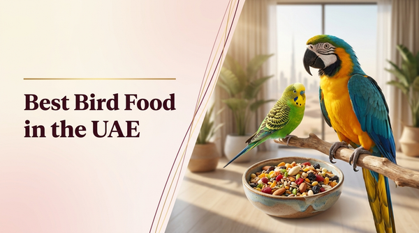 Best bird food in the UAE — The Pets Club