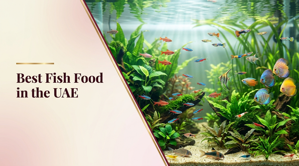 Best fish food in the UAE — The Pets Club
