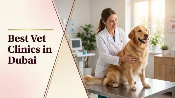 Best vet clinics in Dubai — The Pets Club