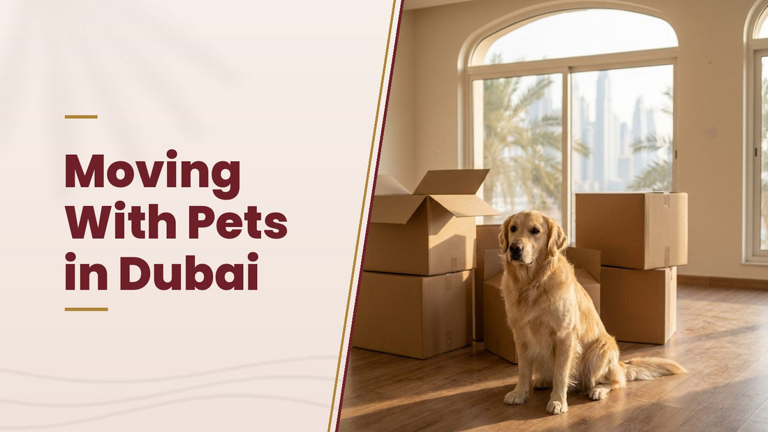 Moving With Pets in Dubai - The Pets Club