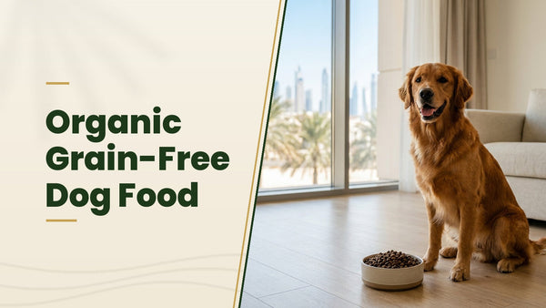 Organic Grain-Free Dog Food - The Pets Club