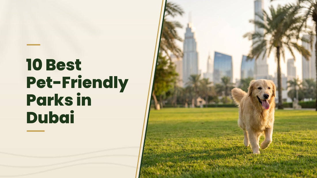 10 Best Pet-Friendly Parks in Dubai - The Pets Club