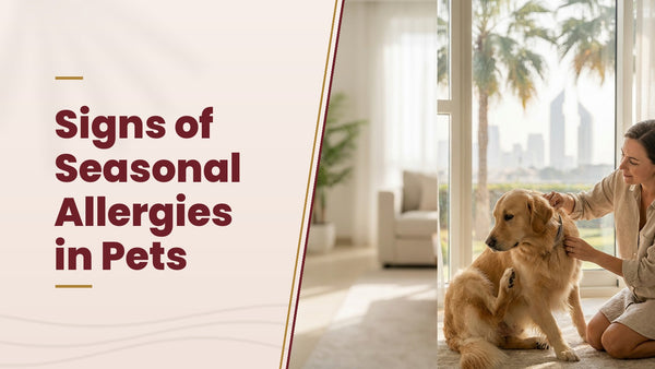 Signs of Seasonal Allergies in Pets - The Pets Club