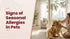 f_article.image.alt
