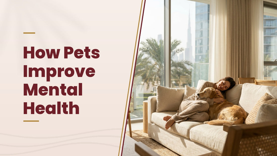 How Pets Improve Mental Health - The Pets Club