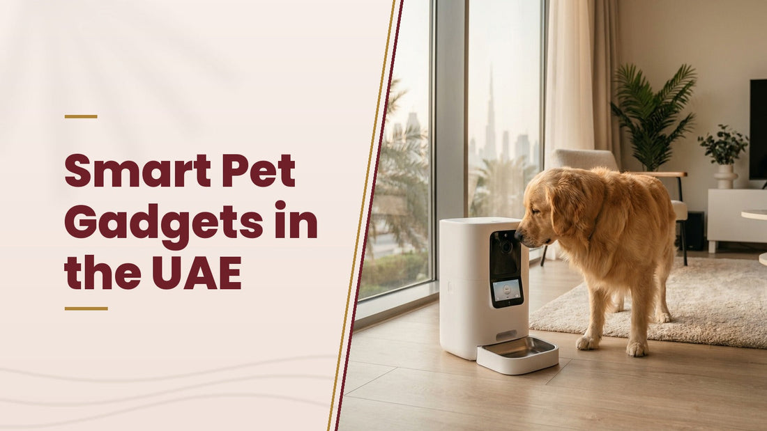 Smart Pet Gadgets in the UAE - The Pets Club