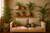 Top 10 Safe House Plants for Homes with Cats - The Pets Club